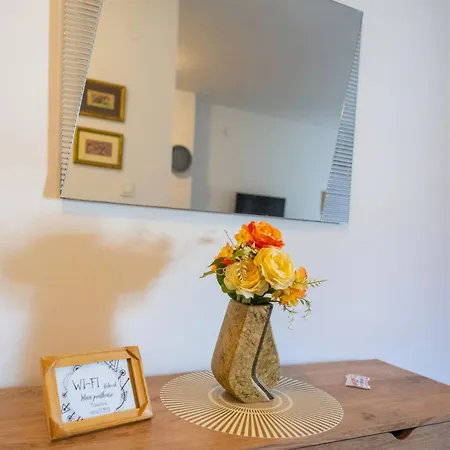 Mina Penthouse Apartment Novi Sad